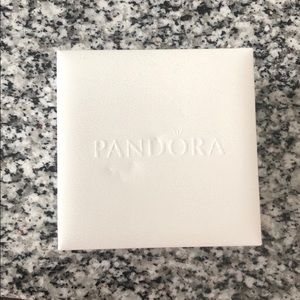 Gently used Pandora charm bracelet